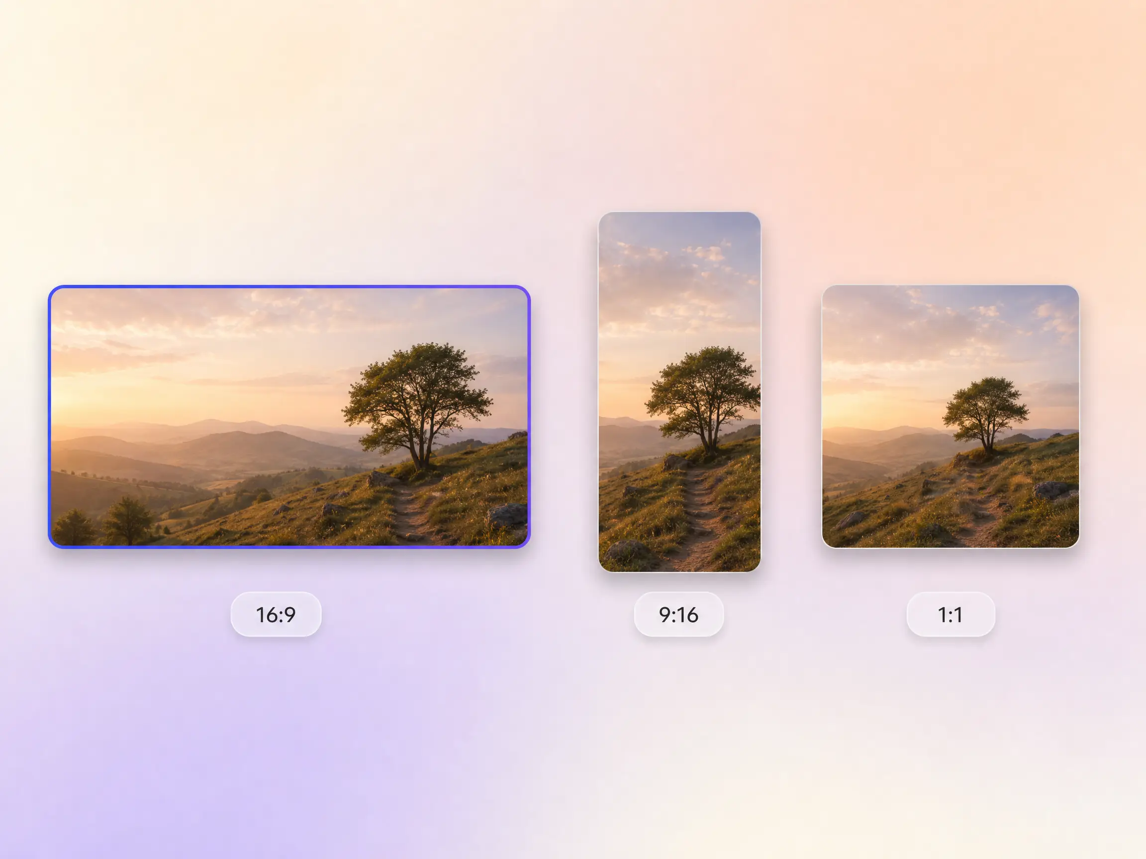 A sneak peek video exported in 16:9, 9:16, and 1:1 formats up to 4K