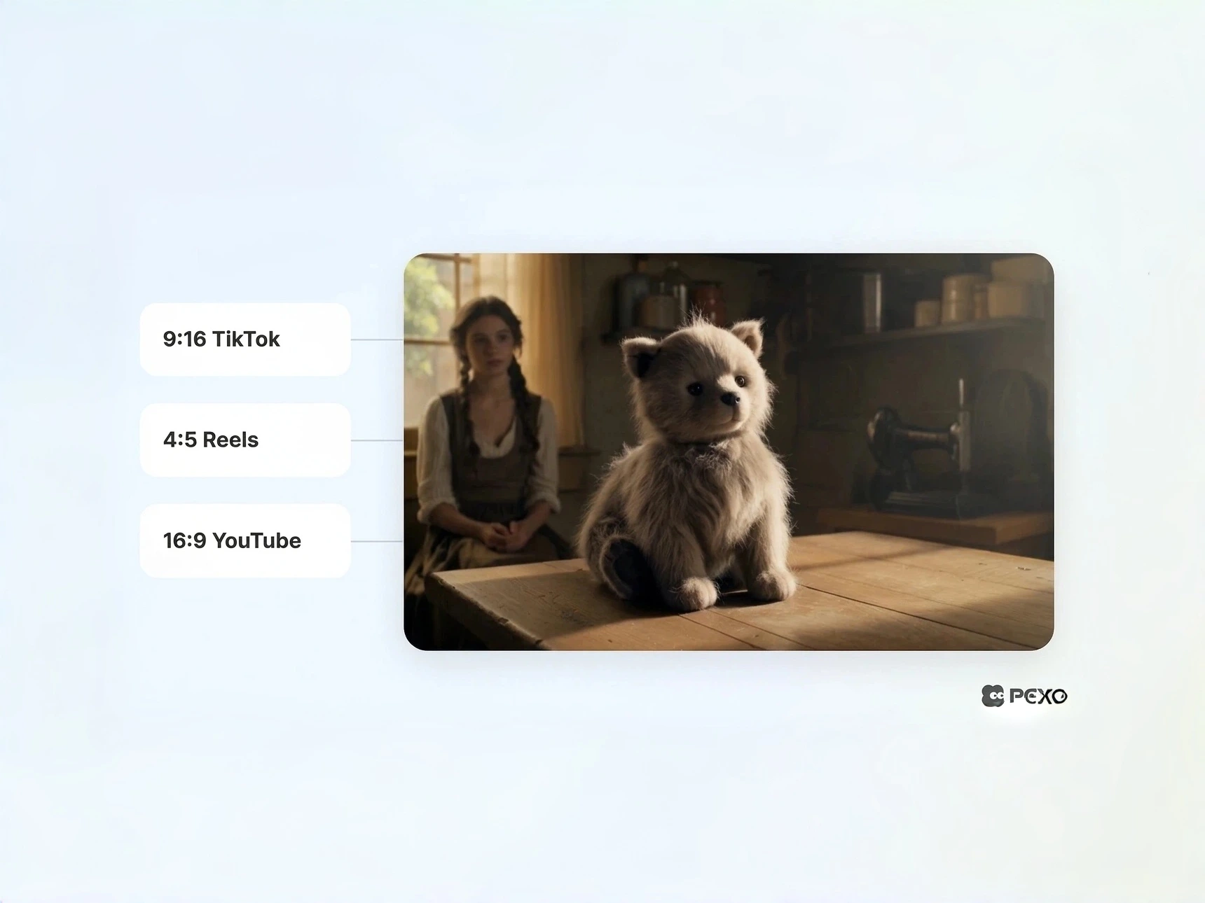 Multi-platform music video export by Pexo